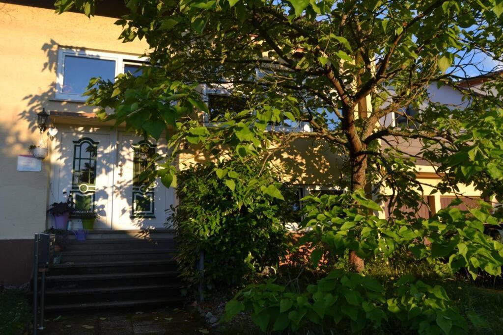 Maison Madlene Frickenhausen  Exteriér fotografie